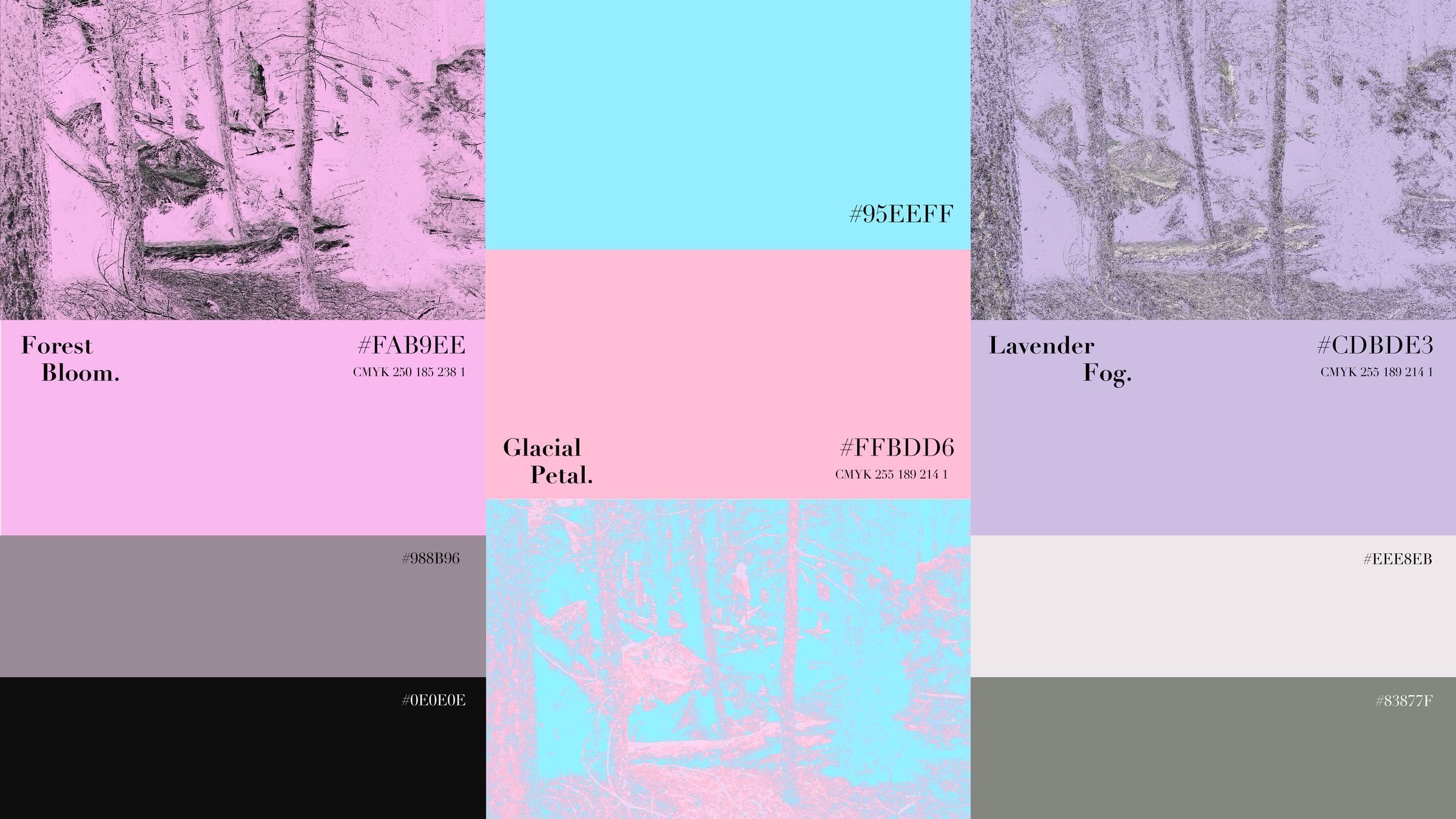Flowerhead visual 3