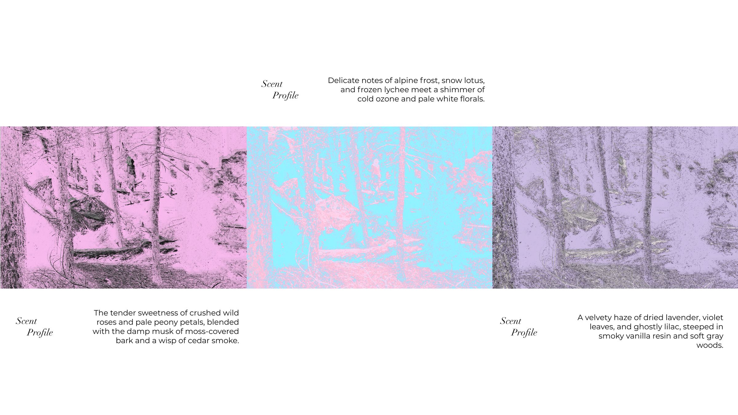 Flowerhead visual 4