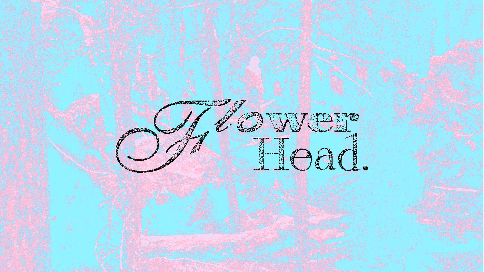 Flowerhead visual 2